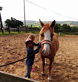 Poney carrière pansage