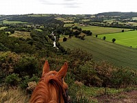 Poney paysage