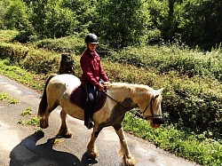 Poney balade