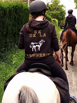 Balade poney cheval